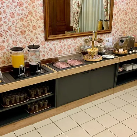 大教堂酒店 3* 帕雷·勒·毛尼尔